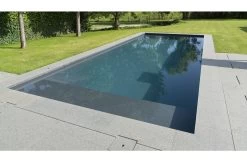 Terato Binnenhoek Graniet Rechte Neus -Zwembaduitrusting Winkel terato binnenhoek graniet rechte neus 4